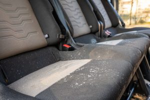 Mold and fungus on a row of car seats that have remained unused for several months