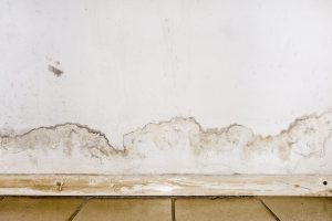 Flooding rainwater or floor heating systems, causing damage, peeling paint and mildew - Do I need to replace wet drywall?