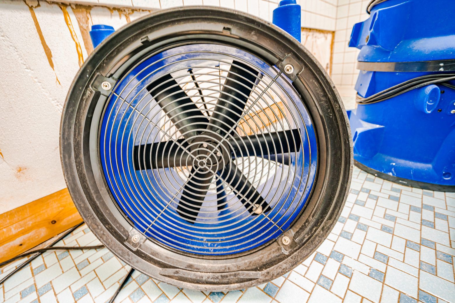 Water Damage Restoration: How to Prevent Mold Growth